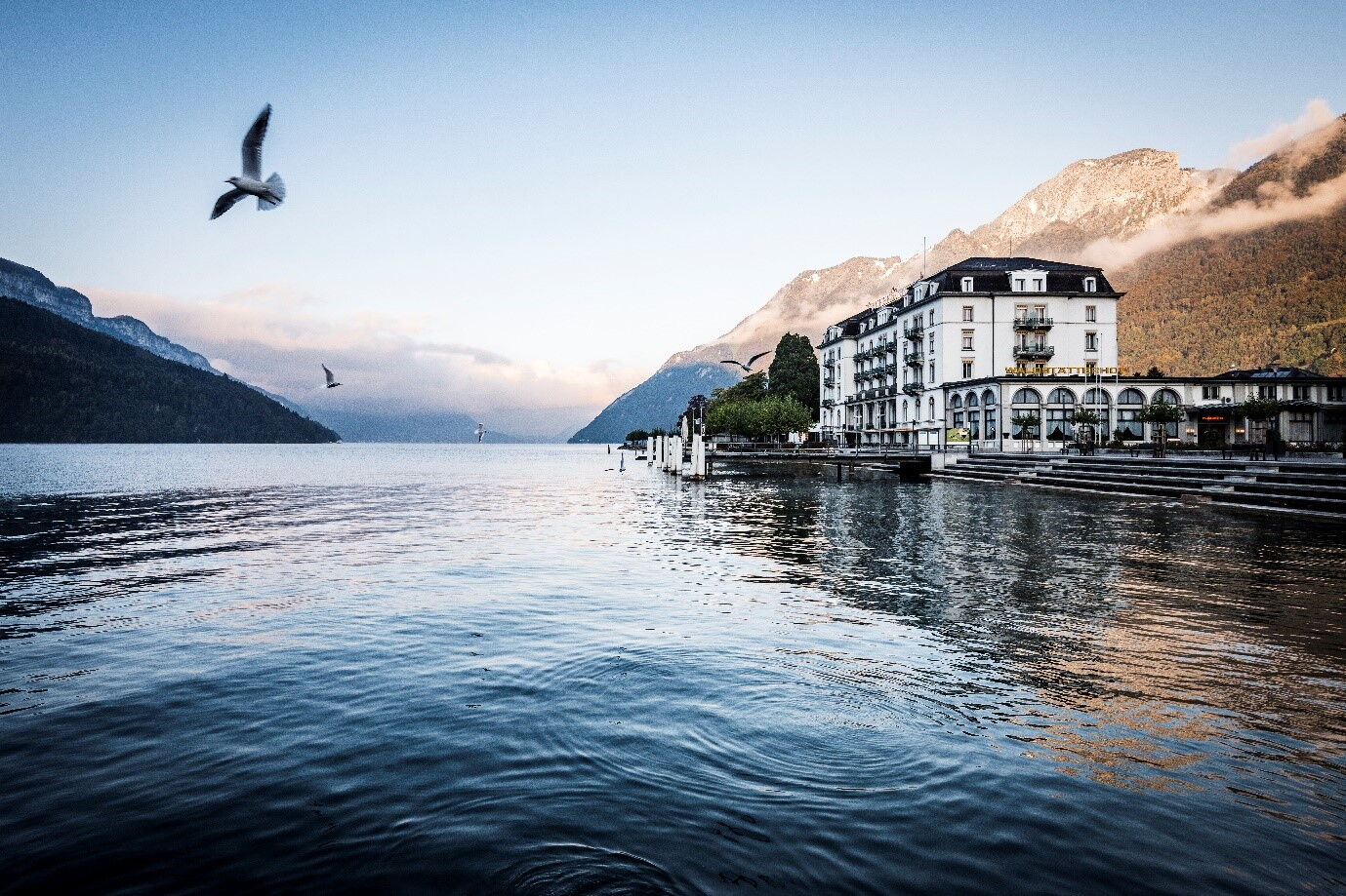 Headerbild Referenzen - WATTELSE AG Bild des Hotels Waldstaetterhof in Brunnen vom See aus